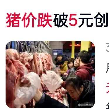 猪价暴跌！5元/斤创7年新低，养殖户：每养一头亏五百