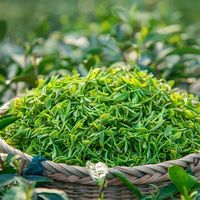 300块和3000块的明前龙井，差的不只是价格，而是这五个关键变量