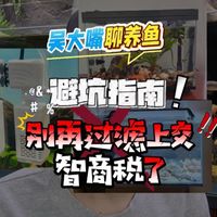 养鱼新手过滤怎么选择？鱼缸过滤避坑指南！