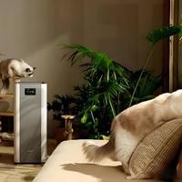 有宠物的家庭怎么选空气净化器?