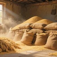 家庭囤粮指南：科学储存与应急规划全解析