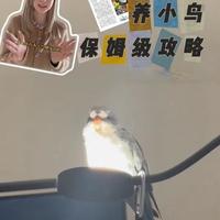 欢迎大家一起讨论养鸟小经验！