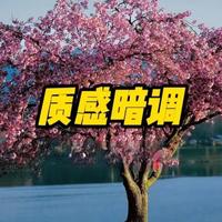 Photoshop后期调质感暗调照片的方法