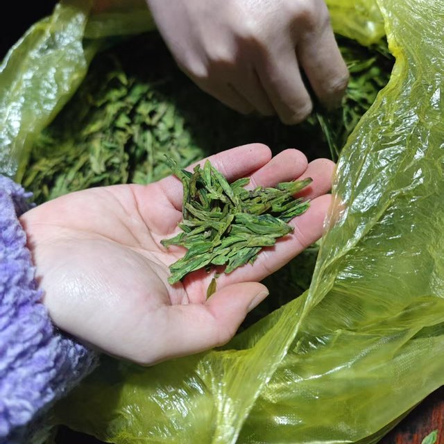 影响龙井茶品质的几个关键因素；喝懂龙井