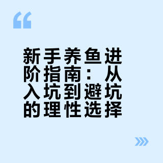 新手养鱼，如何选择和维护自己的第一个鱼缸？