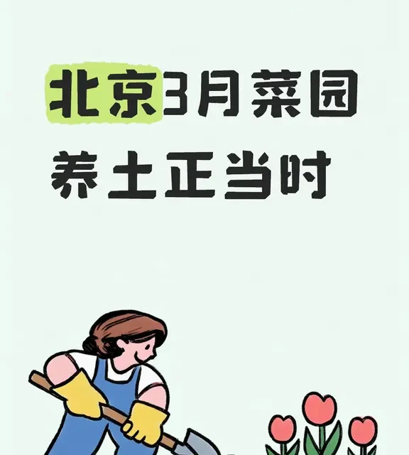 北京3月露地与阳台蔬菜土壤养护指南