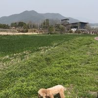 开春了，不想让毛孩子感染寄生虫，看这里！