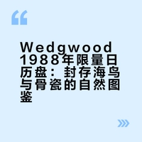 🕊️ 把88年的海风与飞鸟，装进这只Wedgwood