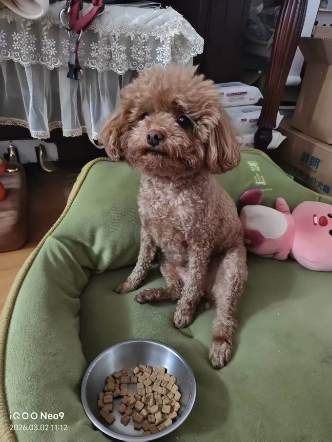比瑞吉狗粮