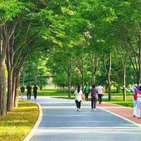 去运动吧！在绿意中挥洒汗水，在步道上邂逅春光