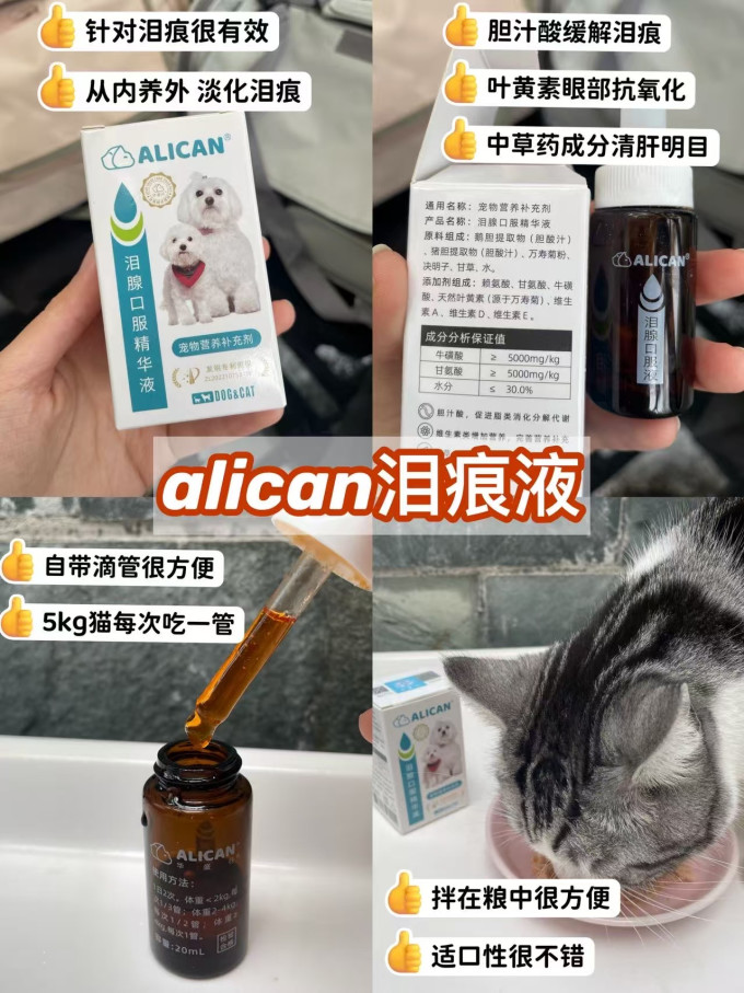 日用清洁