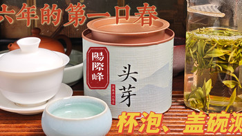 【绿茶】26年的第一口春，阳际峰头芽测评（260328） 