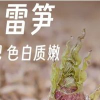 春日尝鲜首选天目雷笋