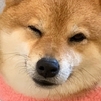 狗狗肠胃弱总软便？吃什么狗粮才能养出健康胃？