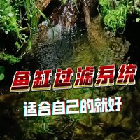颜值5分的鱼缸过滤能提供10分的水清鱼靓