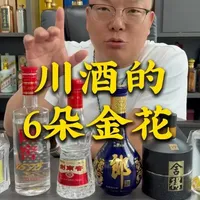 川酒6朵金花都是大佬？