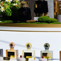 毛戈平闻道东方：以香载道，诠释东方气韵新表达