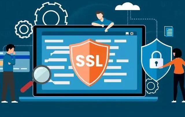 SSL证书哪个品牌好？2026年SSL证书品牌对比评测