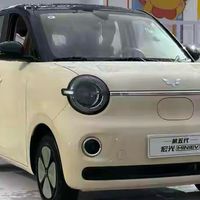 指导价4.48-5.48万元 最大续航301km 第五代宏光MINIEV正式上市