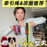 边牧牵引装备推荐：四款高频使用的牵引绳与项圈
