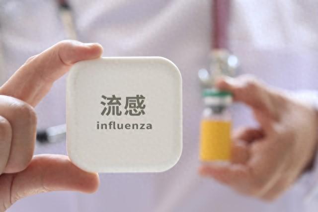 流感高发期中成药科学用药指南：辨证选药与安全提示