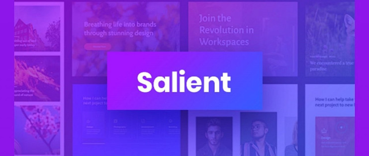 Salient wordpress主题使用教程（2026含下载）