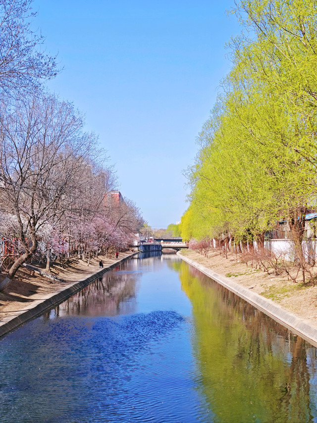桃花落溪处，独揽春日闲