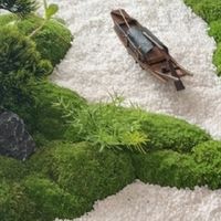 餐桌转盘微景观，假绿植摆件，圆桌氛围感神器✨