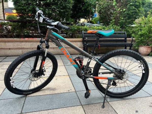 闲鱼捡大漏——买捷安特上瘾了