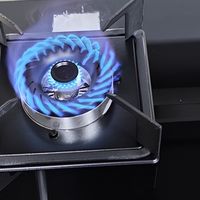 用了3年才敢说！高端燃气灶的4个‘隐形坑’，第2个90%的人都中招