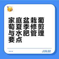 家庭盆栽葡萄夏季修剪与水肥管理要点