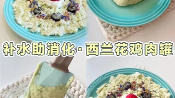 🐱🐶自制宠物鲜食｜西兰花鸡肉罐✨补水