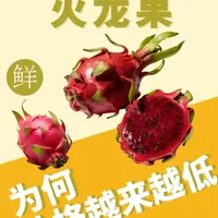 为何现在火龙果价格越来越低？