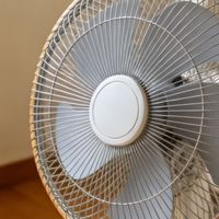 品牌前十名电风扇什么牌子好？揭晓全屋空气流通，四季都适用品牌