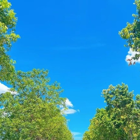 从试驾到提车的深度体验