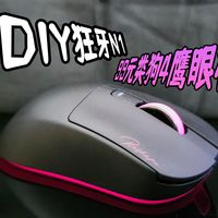 【抽】999的狗4，99的类狗4，你选哪个？！| NDIY狂牙N1使用体验！