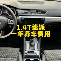 1.4T速派一年养车费用多少？油耗？保险？保养？