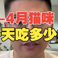 2-4个月猫咪，一天到底应该要吃多少猫粮？权威答案来了