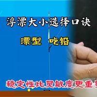 漂型、吃铅。浮漂大小选择口诀，稳定性比灵敏度更重要