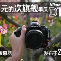 2002年的次旗舰CCD，现在百元，你会喜欢吗？| 尼康D100测评