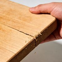 “食品级抗菌”砧板可能更藏污纳垢，真正安全的只有这三类