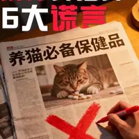 拆穿养猫界,6大谎言