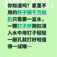 水中打孔妙招，不用杯子碗变花盆，安全又美观…