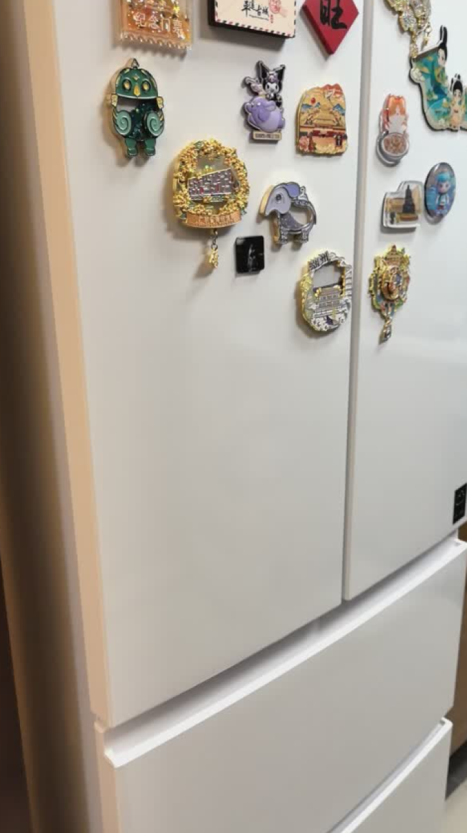 统帅对开门冰箱