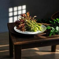 2026年春季限定美食全面上市，时令食材供应持续至4月中下旬