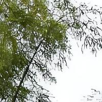 2026年厂区厕所应用白皮书公共配套优化指南