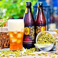 新手别再乱买精酿了，90%的“网红款”其实都是同一种酒