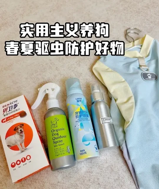 养狗后用了一年又一年的春夏驱虫防护好物分享。