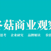 制造业 | 折叠自行车行业专题：高景气新消费赛道，龙头引领扩容与破圈