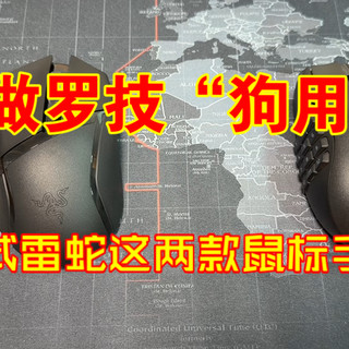 罗技GPW争议后，实测两款雷蛇鼠标